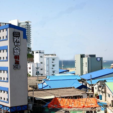 Capsule In Gangneung Ξενοδοχείο Εξωτερικό φωτογραφία
